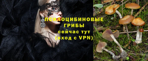 гашик Михайловка