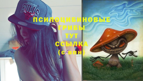 прущая мука Михайловск