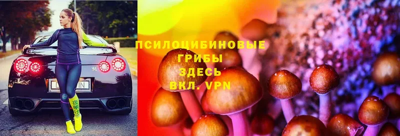 Галлюциногенные грибы MAGIC MUSHROOMS  МЕГА ССЫЛКА  Краснослободск 